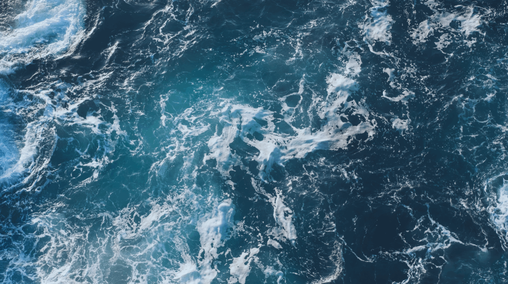 2025 新北微風 water